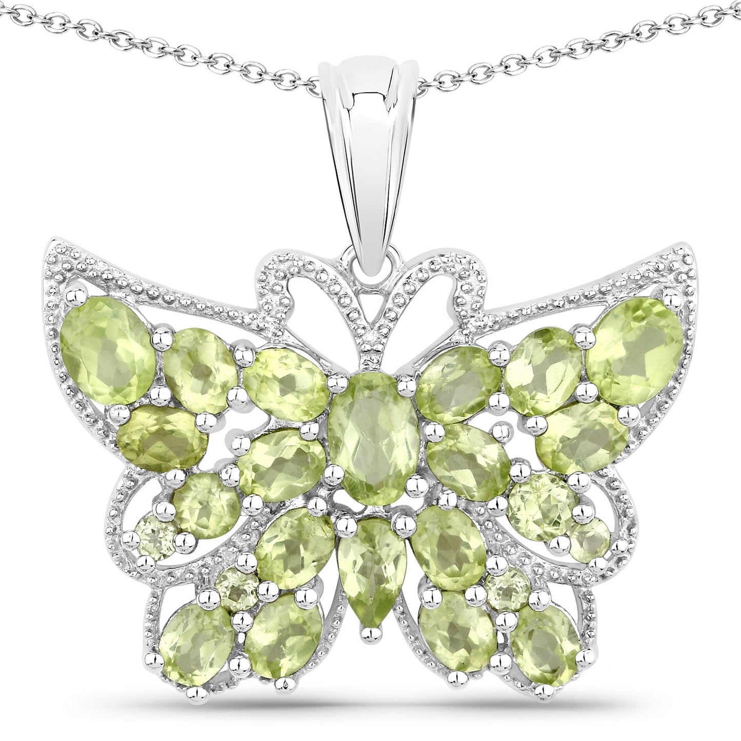 p2578p-gallery-image